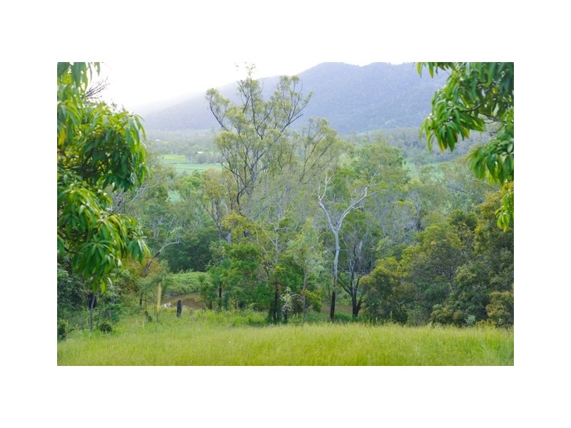 61 Black Road, Riordanvale QLD 4800