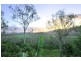 61 Black Road, Riordanvale QLD 4800