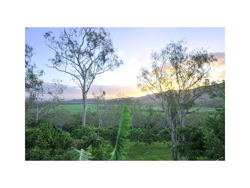 61 Black Road, Riordanvale QLD 4800