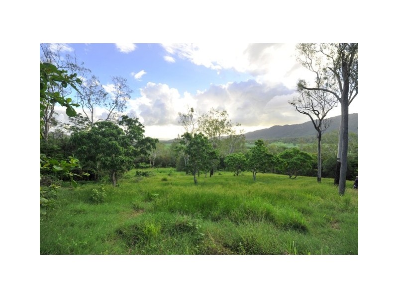 61 Black Road, Riordanvale QLD 4800