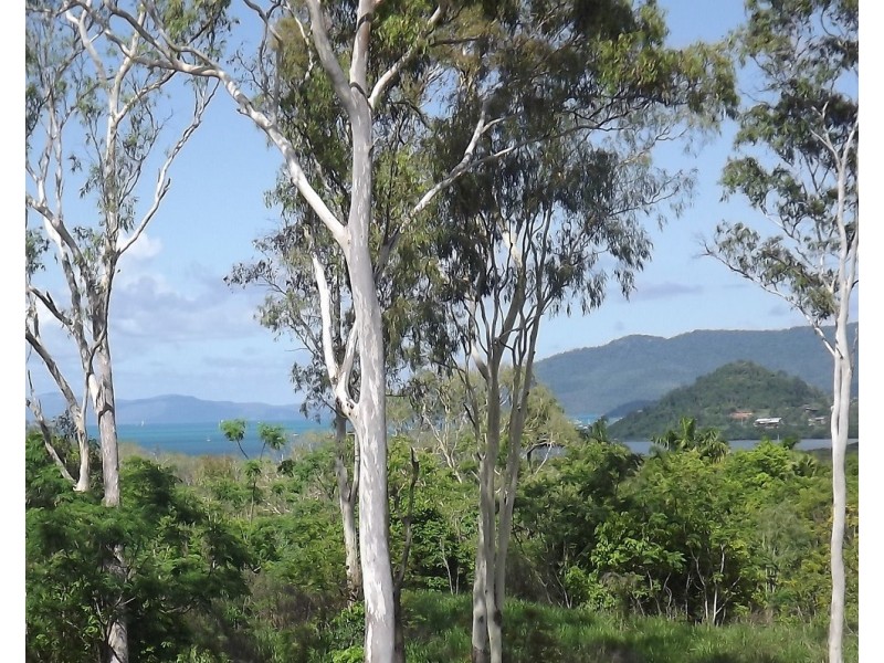 108 Tucker Road, Riordanvale QLD 4800