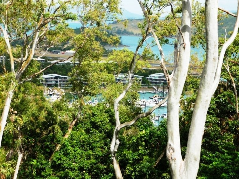 Lot LRG, Cycad Close, Hamilton Island QLD 4803