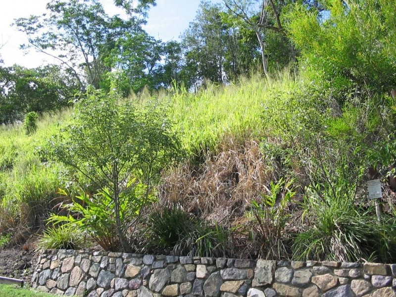 6 Stonehaven Court, Airlie Beach QLD 4802