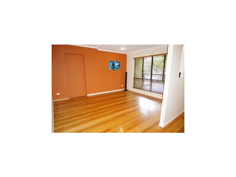 124 Shute Harbour Road, Cannonvale QLD 4802