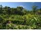 848 Conway Road, Conway QLD 4800