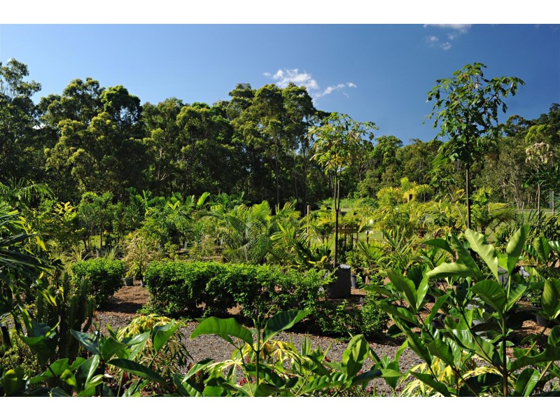 848 Conway Road, Conway QLD 4800