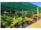 848 Conway Road, Conway QLD 4800