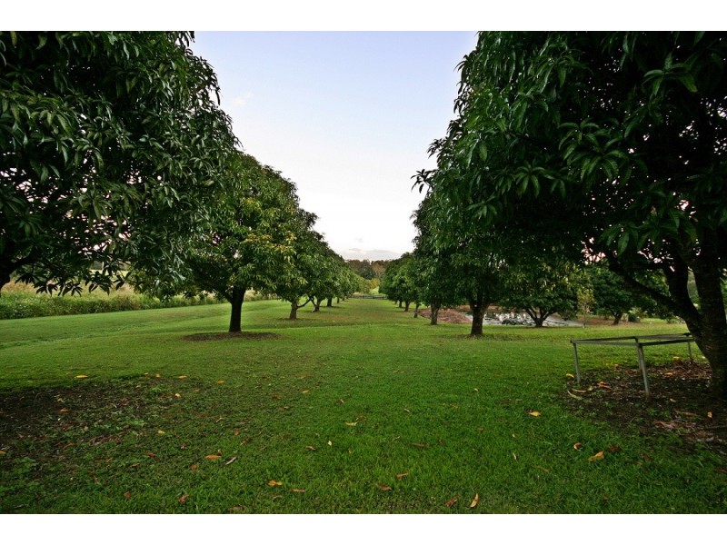 273 Shute Harbour Road, Mount Julian QLD 4800