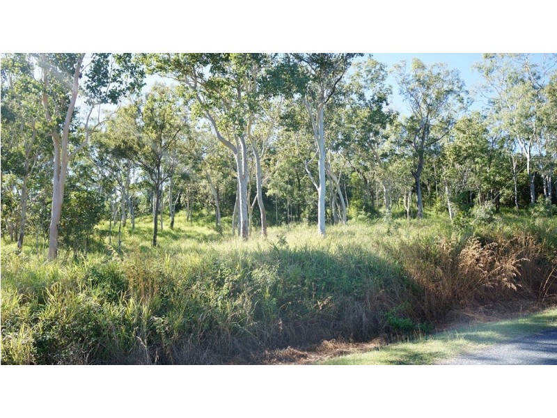 Lot 21 Wattle Road, Cannon Valley QLD 4800