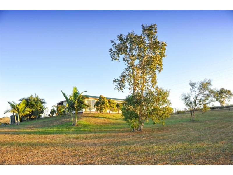 702 Midge Point Road, Bloomsbury QLD 4799