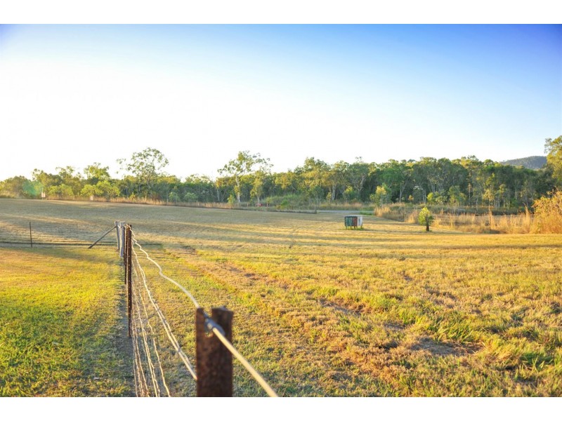 702 Midge Point Road, Bloomsbury QLD 4799