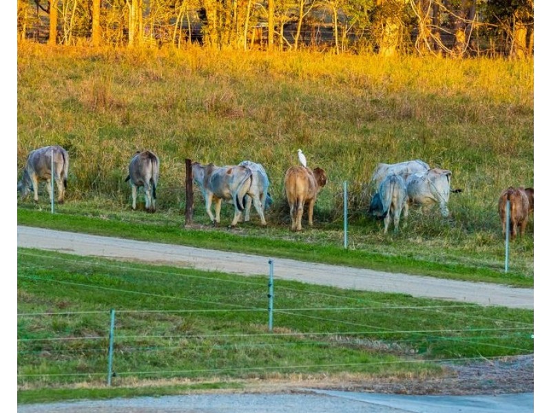 Lot 202 De Boni Road, Gregory River QLD 4800