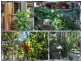 34 Gleneva Drive, Gregory River QLD 4800