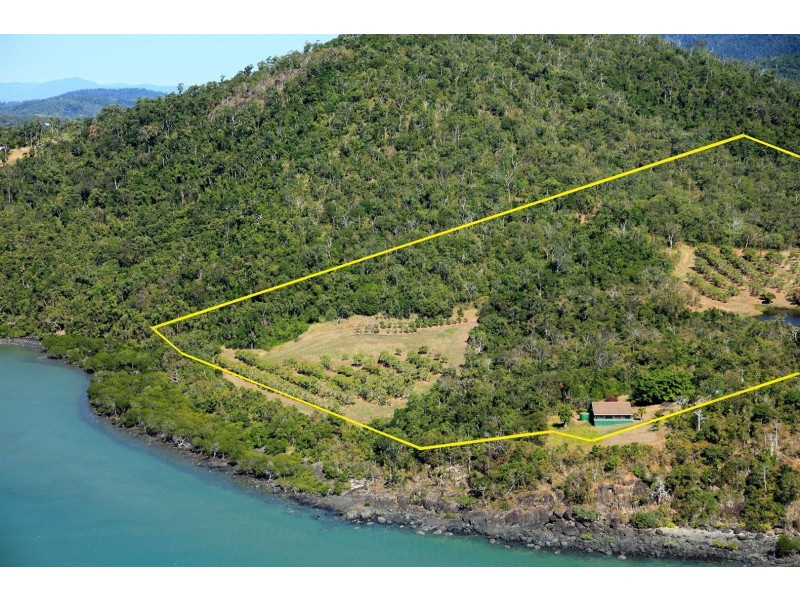 100 Pringle Road, Cannonvale QLD 4802