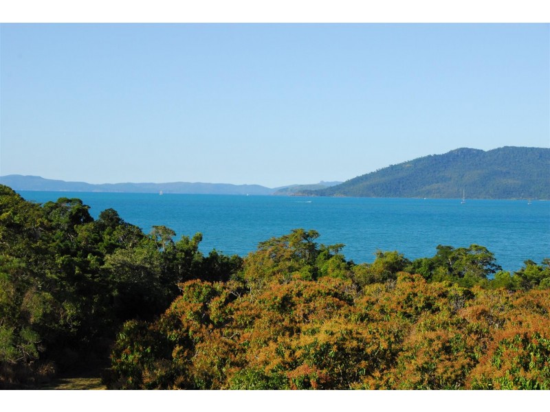 100 Pringle Road, Cannonvale QLD 4802