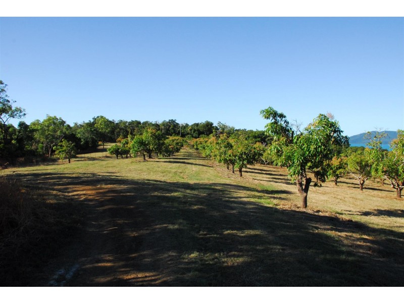 100 Pringle Road, Cannonvale QLD 4802