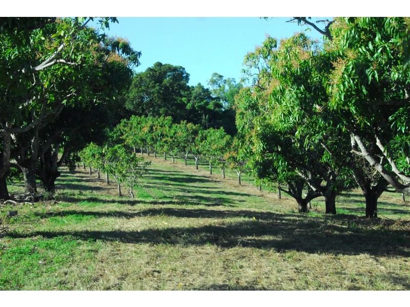 100 Pringle Road, Cannonvale QLD 4802