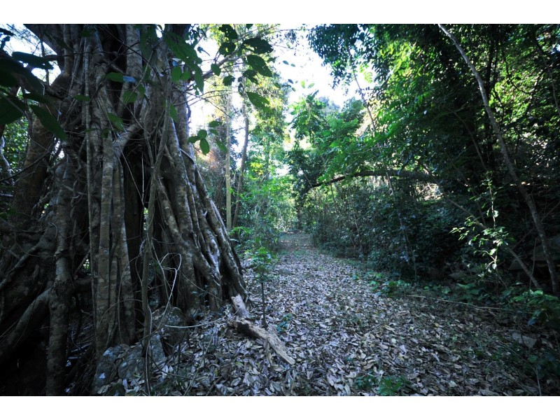 44 De Boni Road, Gregory River QLD 4800