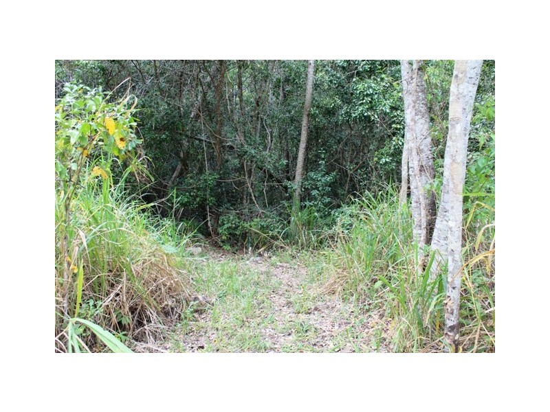 Lot 95 Ashton Road, Gregory River QLD 4800