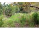 Lot 95 Ashton Road, Gregory River QLD 4800