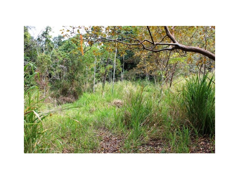 Lot 95 Ashton Road, Gregory River QLD 4800