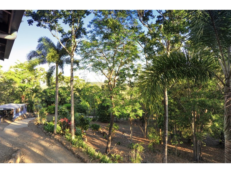 146 Wright Road, Strathdickie QLD 4800