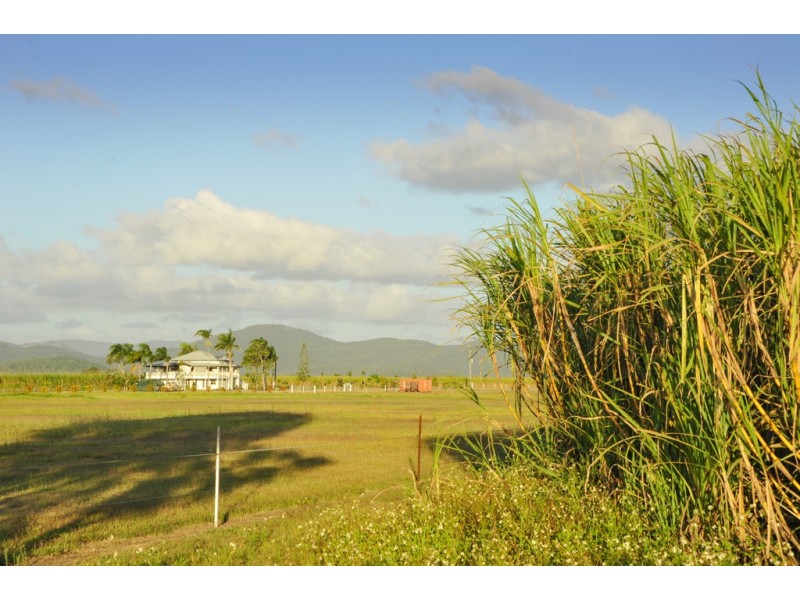 60 Casswell Road, Proserpine QLD 4800
