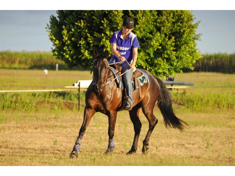 60 Casswell Road, Proserpine QLD 4800