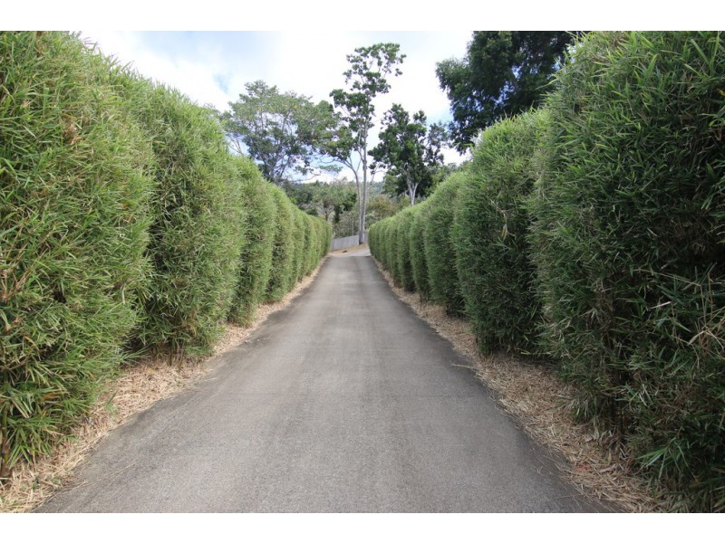 39 Sunset Drive, Jubilee Pocket QLD 4802