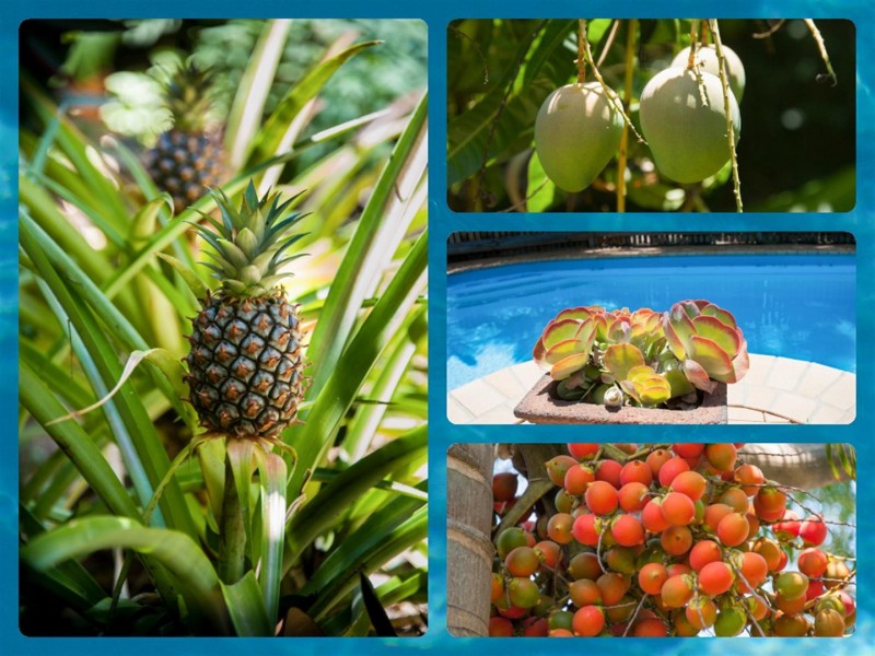 3 Country Road, Cannonvale QLD 4802