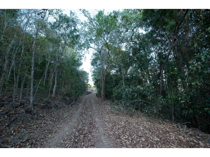 Lot 9 Rainforest Close, Sugarloaf QLD 4800