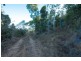 Lot 9 Rainforest Close, Sugarloaf QLD 4800