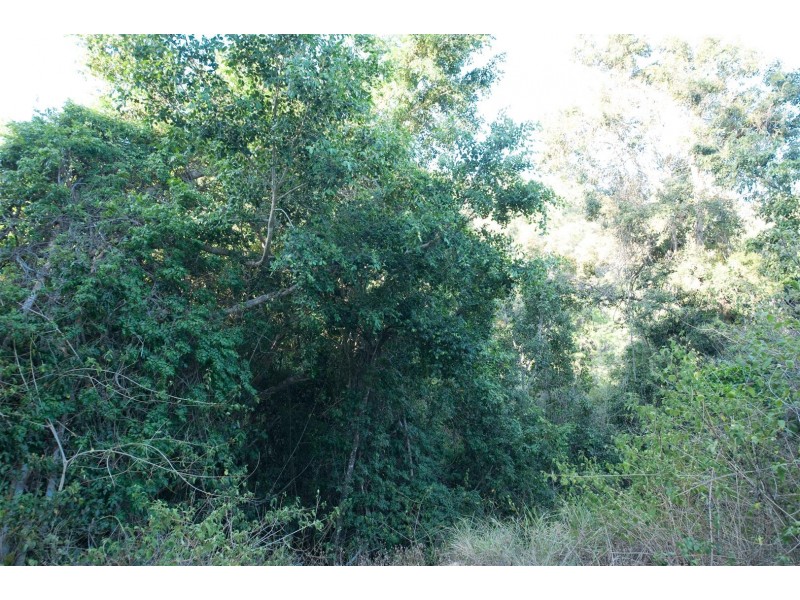 Lot 9 Rainforest Close, Sugarloaf QLD 4800