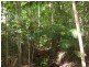 Lot 127 Saltwater Creek Road, Conway QLD 4800