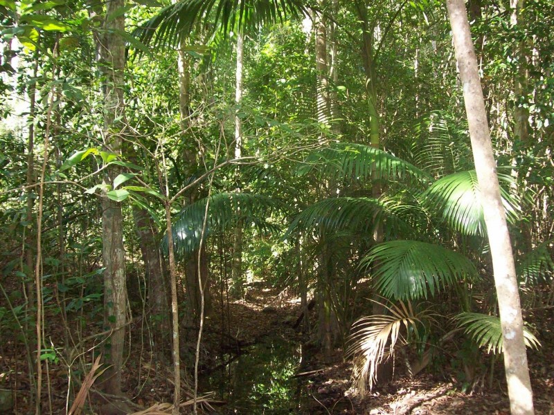 Lot 127 Saltwater Creek Road, Conway QLD 4800