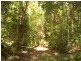 Lot 127 Saltwater Creek Road, Conway QLD 4800