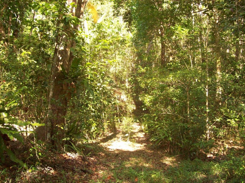 Lot 127 Saltwater Creek Road, Conway QLD 4800