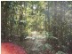 Lot 127 Saltwater Creek Road, Conway QLD 4800