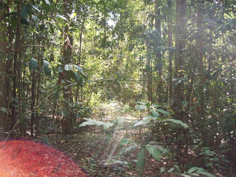 Lot 127 Saltwater Creek Road, Conway QLD 4800