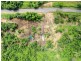 Lot 3 Conway Road, Conway QLD 4800