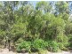 13 Neerim Crescent, Shute Harbour QLD 4802