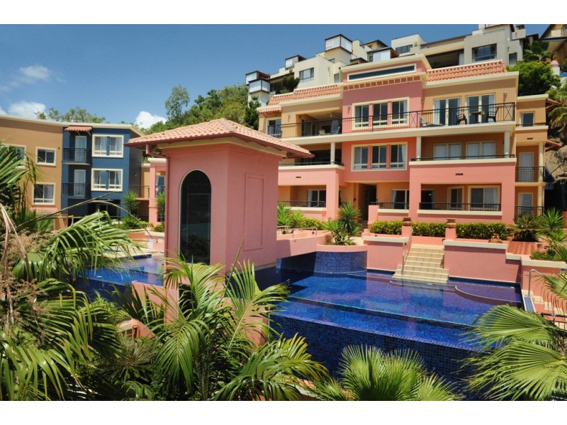 14/18 Golden Orchid Drive, Airlie Beach QLD 4802