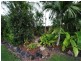 4 Solway Avenue, Cannonvale QLD 4802