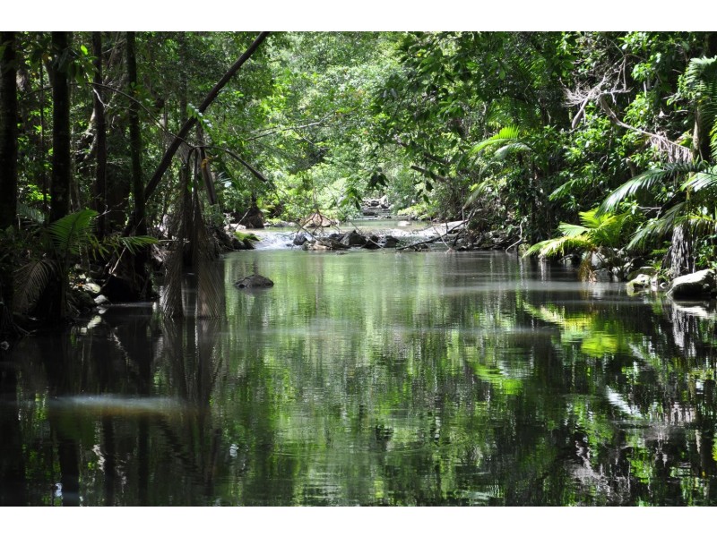 682 Saltwater Creek Road, Conway QLD 4800