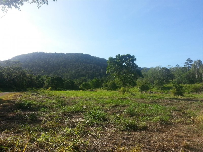 682 Saltwater Creek Road, Conway QLD 4800