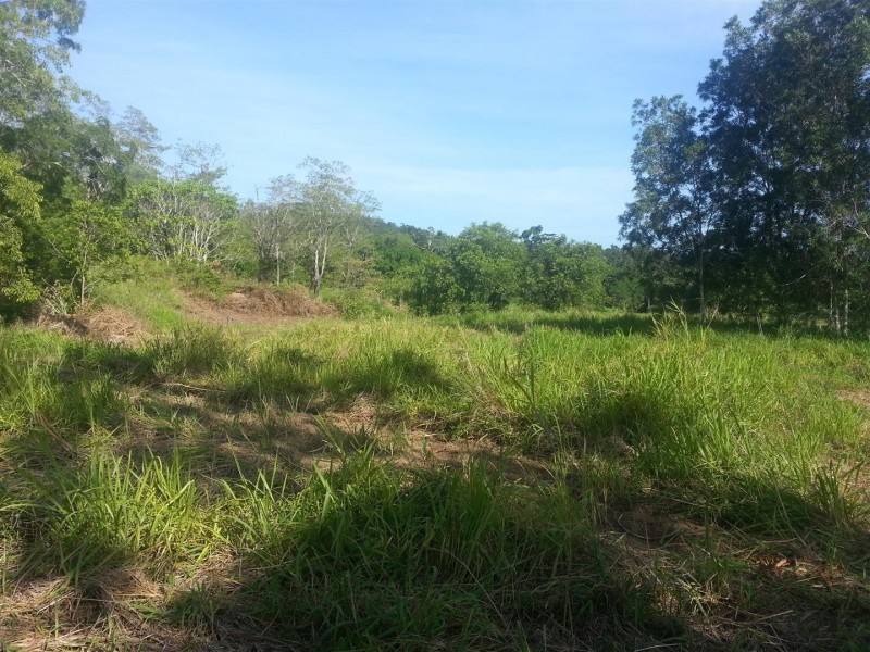 682 Saltwater Creek Road, Conway QLD 4800