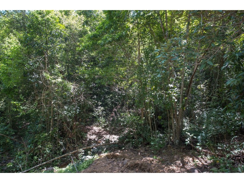 Lot 22 Rainforest Close, Sugarloaf QLD 4800