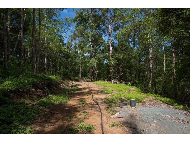 Lot 22 Rainforest Close, Sugarloaf QLD 4800