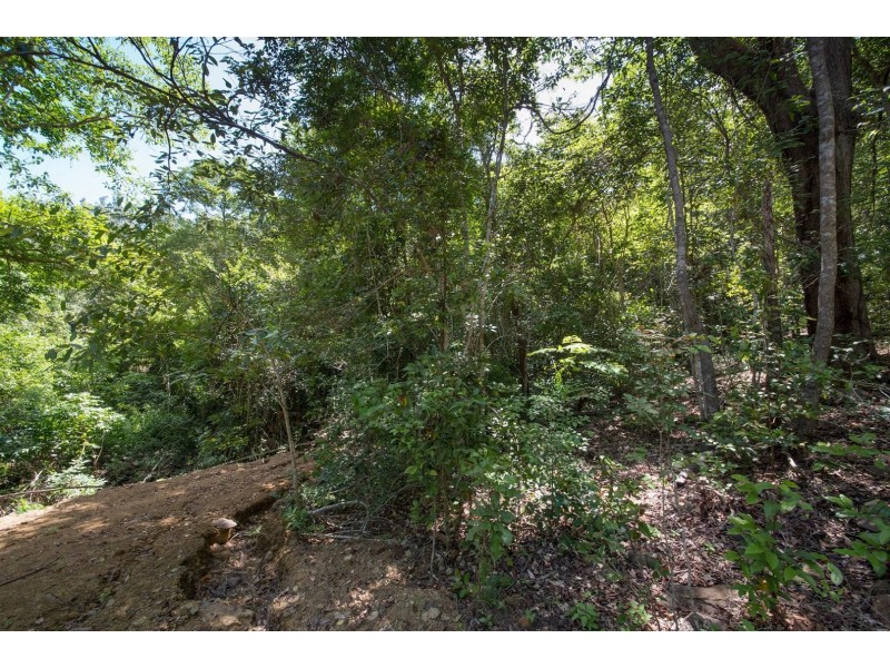Lot 22 Rainforest Close, Sugarloaf QLD 4800