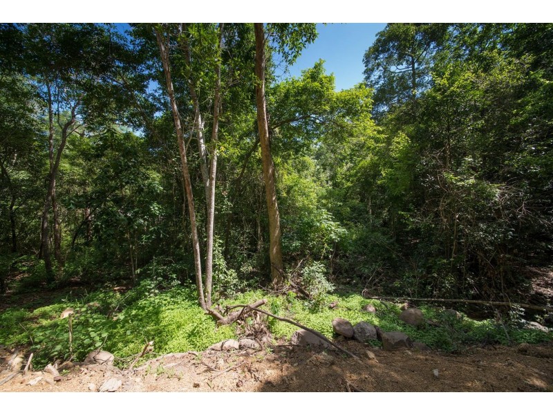 Lot 22 Rainforest Close, Sugarloaf QLD 4800